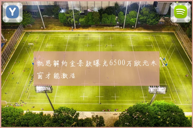 凯恩解约金条款曝光6500万欧元冬窗才能激活