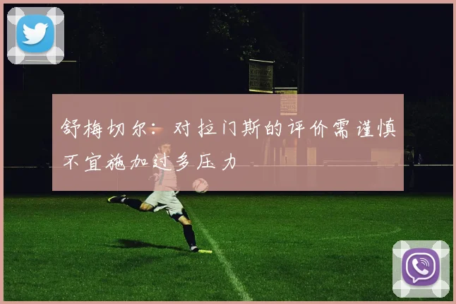 舒梅切尔：对拉门斯的评价需谨慎不宜施加过多压力