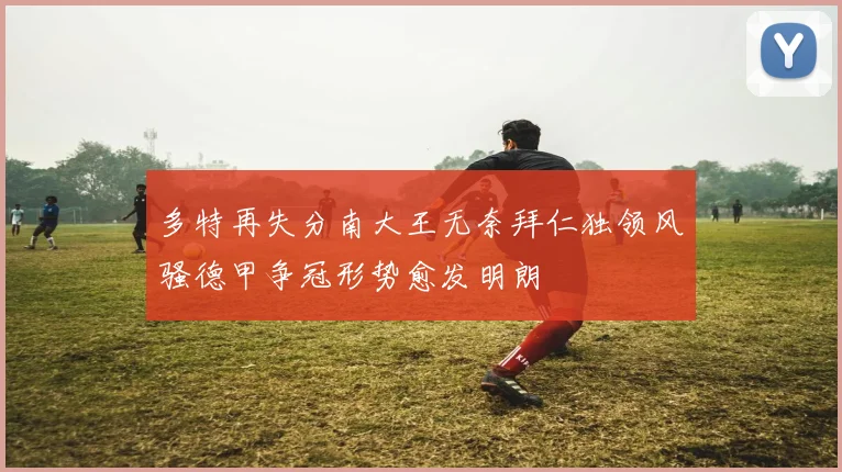 多特再失分南大王无奈拜仁独领风骚德甲争冠形势愈发明朗