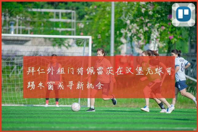 拜仁外租门将佩雷茨在汉堡无球可踢冬窗或寻新机会