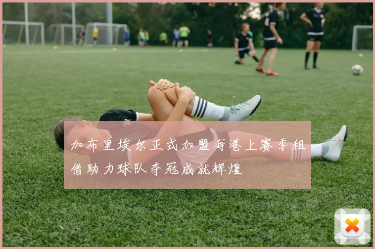 加布里埃尔正式加盟海港上赛季租借助力球队夺冠成就辉煌